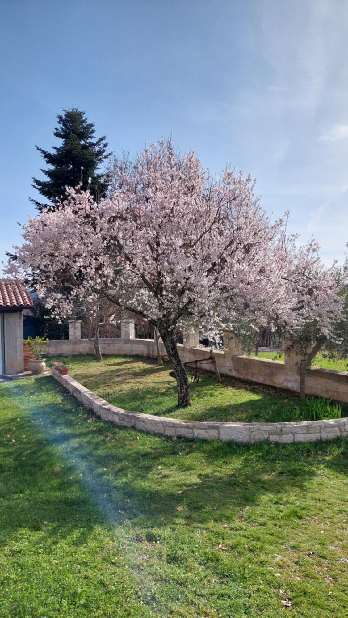 Villa Casa Mandula Rakotule Exterior foto